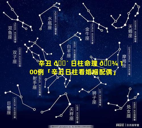辛丑 🌴 日柱命理 🌾 100例「辛丑日柱看婚姻配偶」